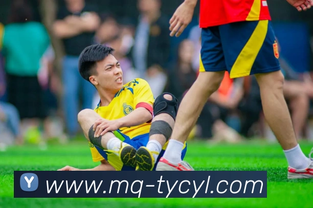 澳门太阳城品牌故事